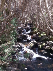 Cascata Kosciuszko Mountain - NSW Australia