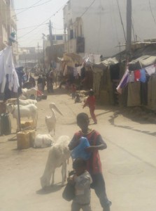 Saint Louis, Senegal