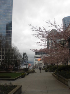 passeggiata tra i grattacieli appena fuori centro vancouver