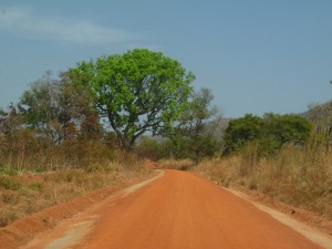 P1020418