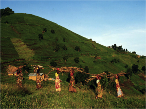 congo-2-women-walking-through-fields