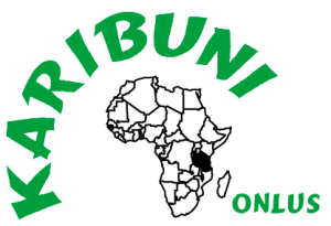 logo Karibuni copia